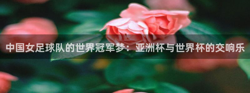 世预赛赛程表:中国女足球队的世界冠军梦:亚洲杯与世界杯的交响乐