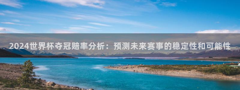 2006年世界杯冠军:2024世界杯夺冠赔率分析:预测未来赛事的稳定性和可能性