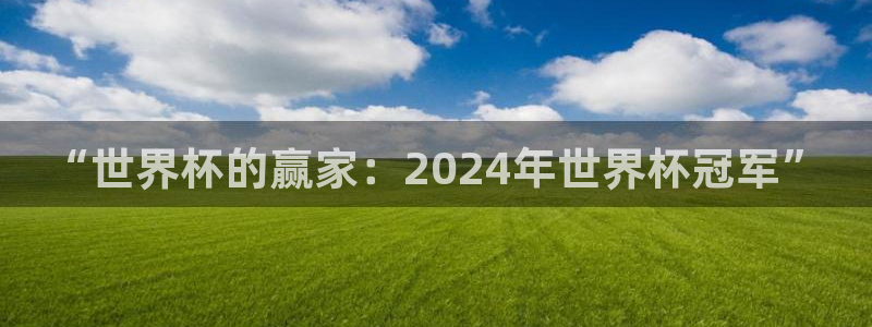2026世预赛全部赛程:“世界杯的赢家:2024年世界杯冠军”