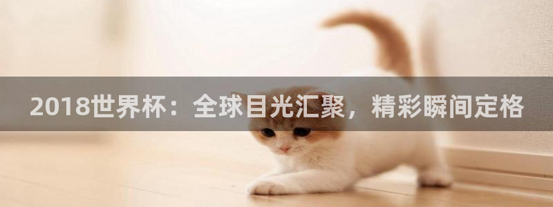 亚洲区世界杯预选赛:2018世界杯:全球目光汇聚,精彩瞬间定格