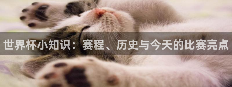 世界杯赛程表2026:世界杯小知识:赛程、历史与今天的比赛亮点