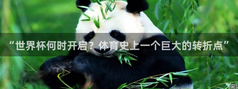 世界杯48支球队赛制:“世界杯何时开启?体育史上一个巨大的转折点”